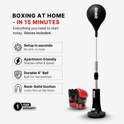 AuraSphere Boxing Pro