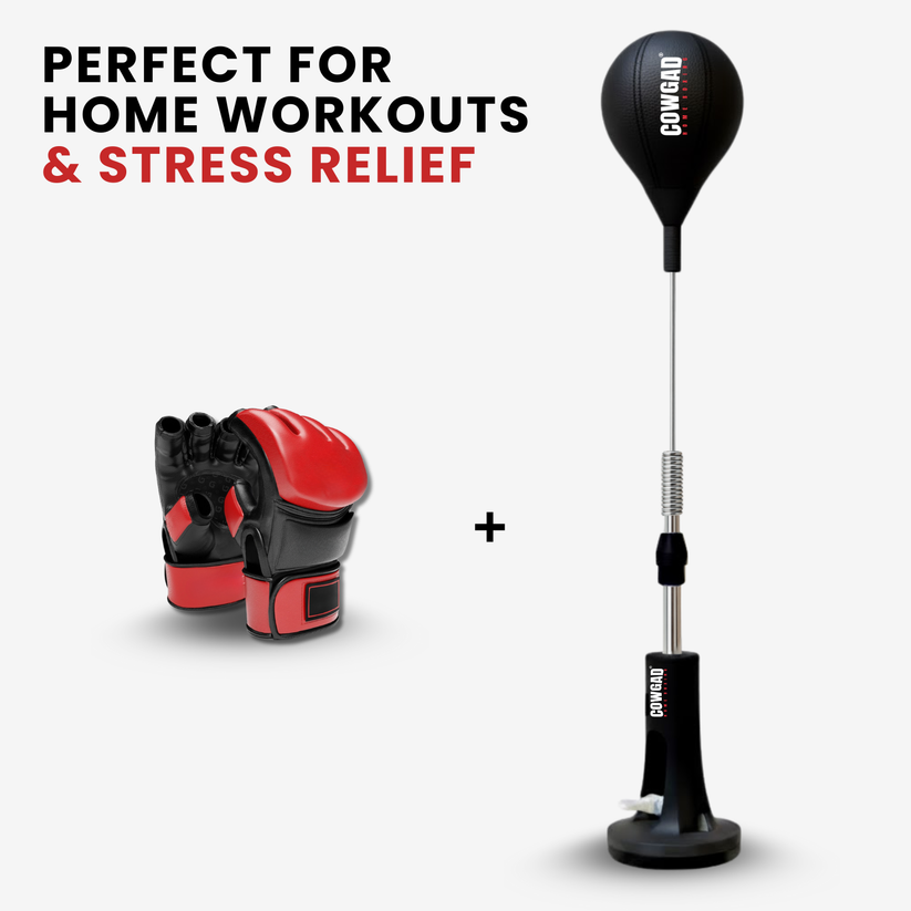 AuraSphere Boxing Pro