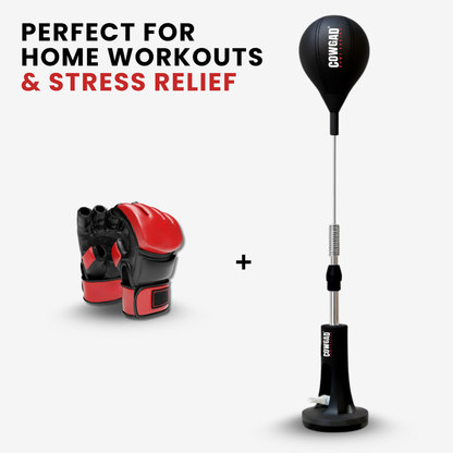 AuraSphere Boxing Pro