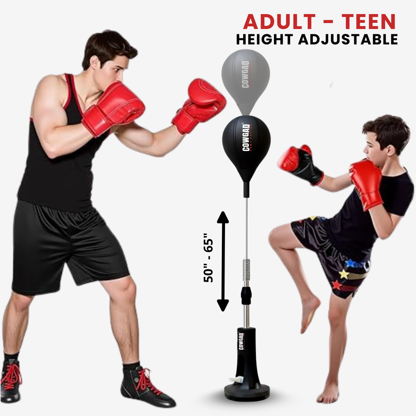AuraSphere Boxing Pro
