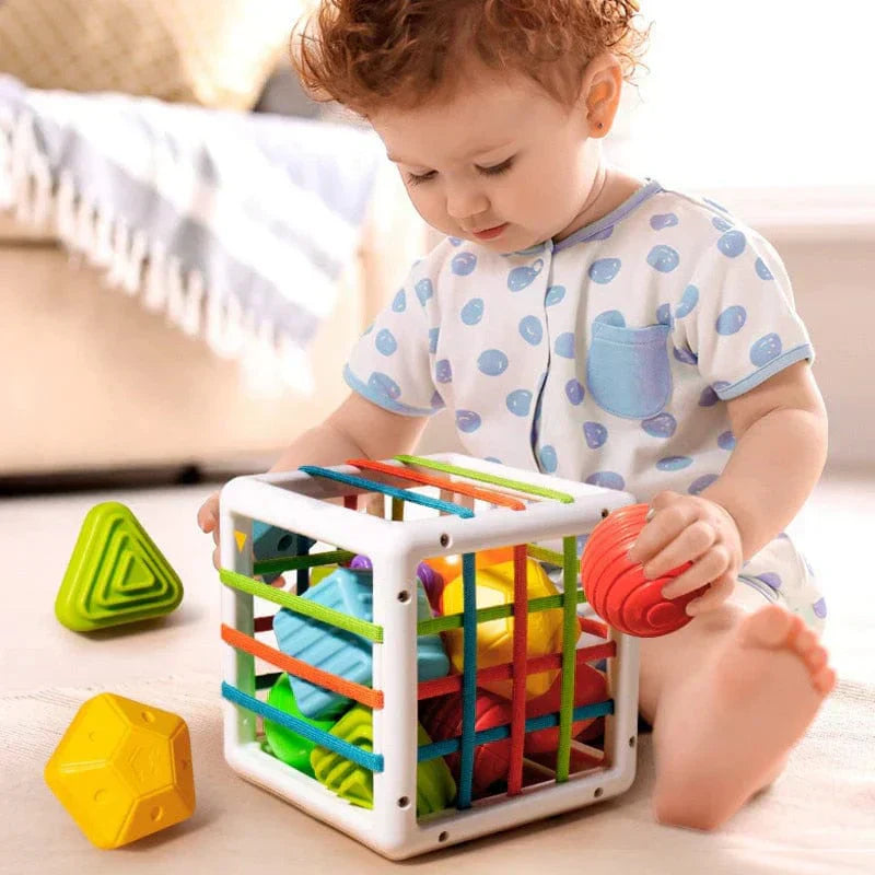 AuraSphere Box - Educational Box