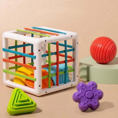 AuraSphere Box - Educational Box