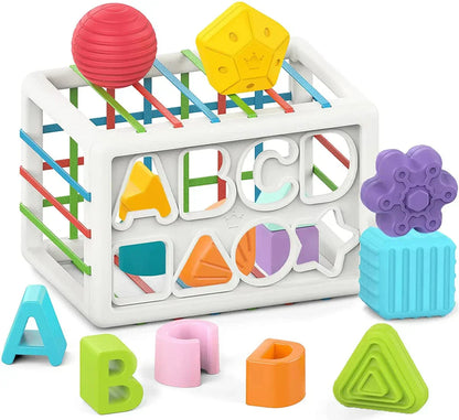 AuraSphere Box - Educational Box