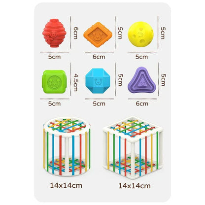 AuraSphere Box - Educational Box