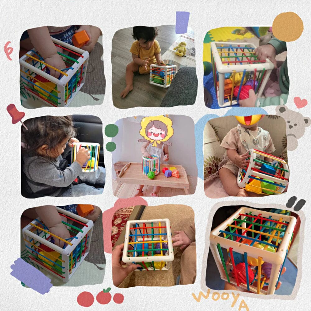 AuraSphere Box - Educational Box