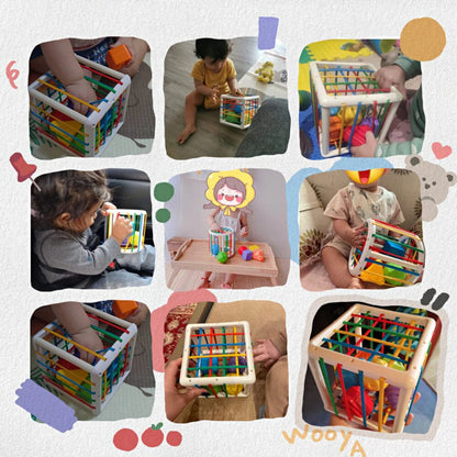 AuraSphere Box - Educational Box